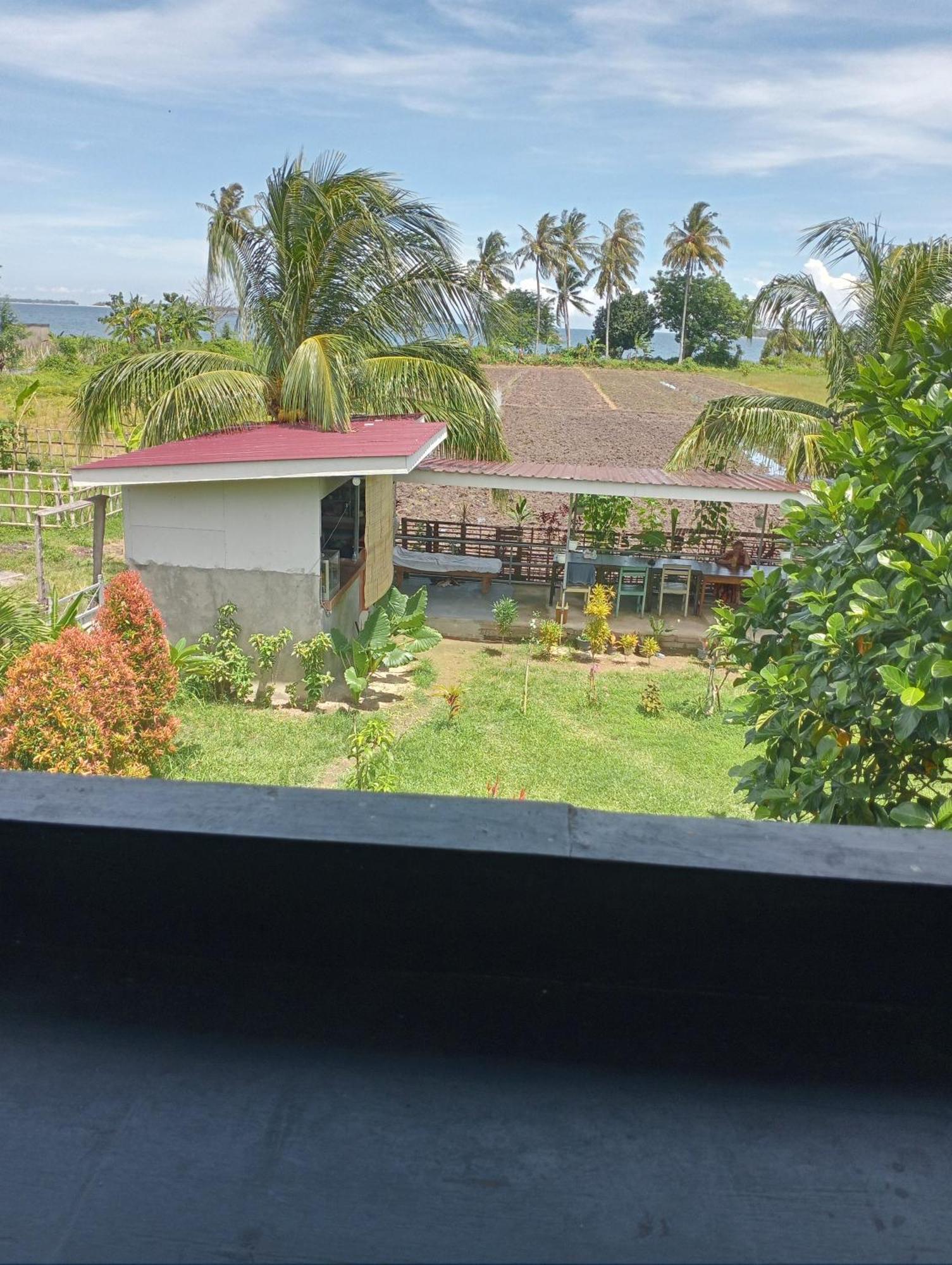 The Daun Puntik Homestay Pemenang Exterior foto